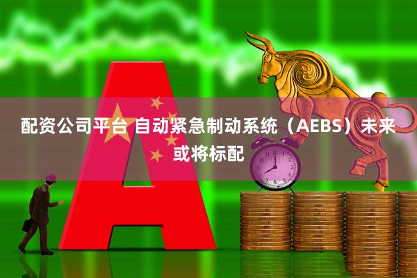 配资公司平台 自动紧急制动系统（AEBS）未来或将标配