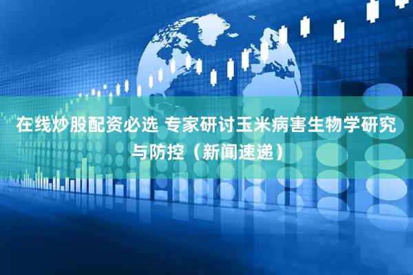 在线炒股配资必选 专家研讨玉米病害生物学研究与防控（新闻速递）